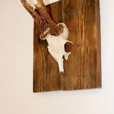 Canisiusbruennl Self- Check In