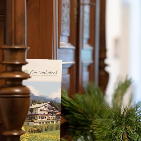 Canisiusbruennl Self- Check In *