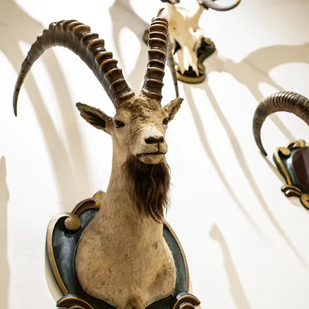 Canisiusbruennl Self- Check In Appartement *